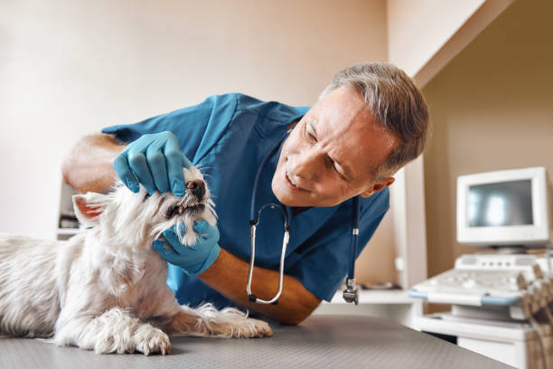 Best Emergency Tooth Extraction in Corpus Christi, TX